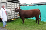 Dumfries Show 2012, Outrawcliffe Emilly