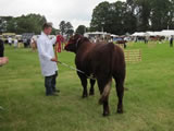 North Yorkshire County Show 2011