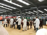 Carlisle Agri - Expo 2010