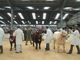 Carlisle Agri - Expo 2010