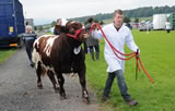 Dumfries Show 2012, Shawhill Einstein