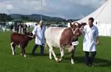 Dumfries Show 2017