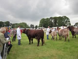 North Yorkshire County Show 2011
