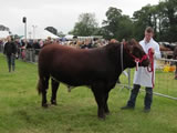 North Yorkshire County Show 2011