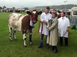 Dumfries Show 2011