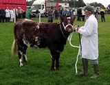 Dumfries Show 2011