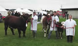Dumfries Show 2011
