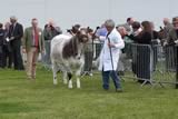 Royal Highland Show 2013