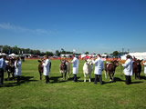 Stirling Show 2013