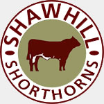 Shawhill Shorthorns