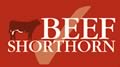 The Beef Shorthorn Cattle Society