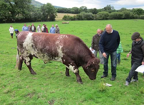 North of England Club, herd visits