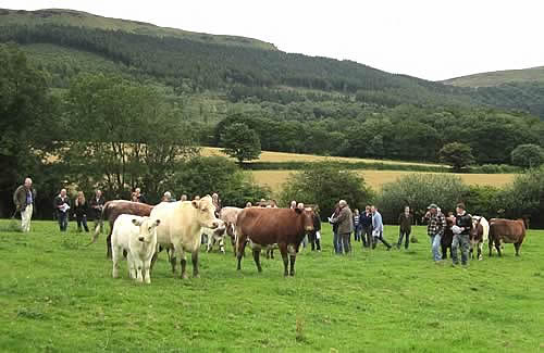 North of England Club, herd visits