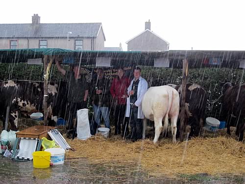 Sheltering at Dumfries Show