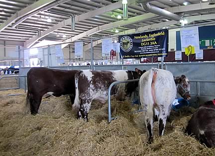 Royal Highland Show 2013