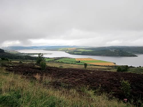 Late harvest on the Dornoch Firth
