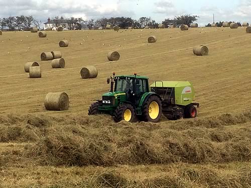 Shawhill Harvest