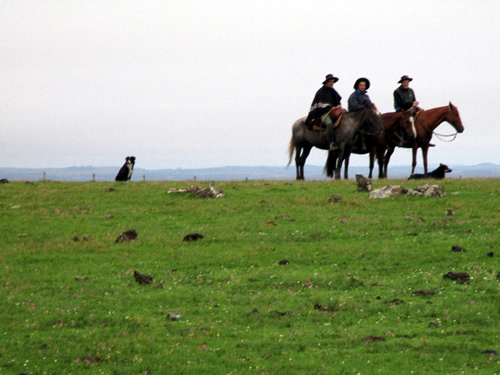 World Shorthorn Conference in Uruguay