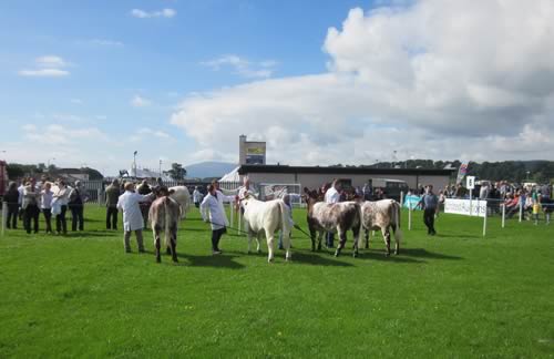 Dumfries Show