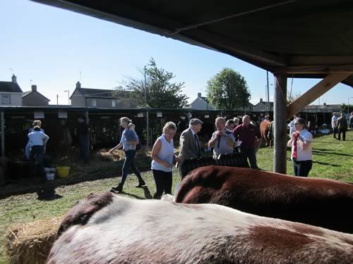 Dumfries show