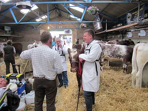 Shawhill Shorthorns