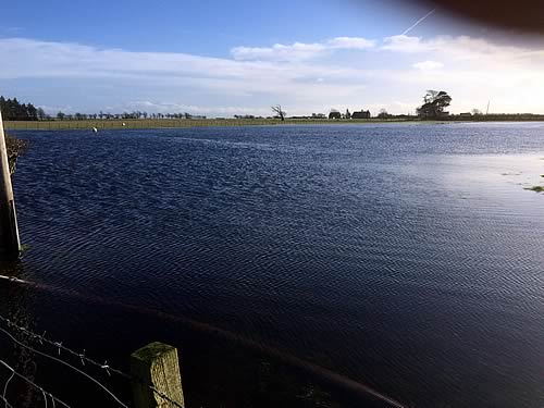 Our fields at Annan have had considerable flooding