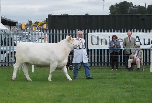 Dumfries Show