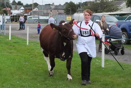 Dumfries Show