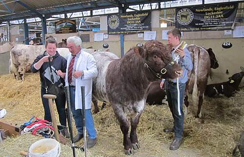 Great Yorkshire Show