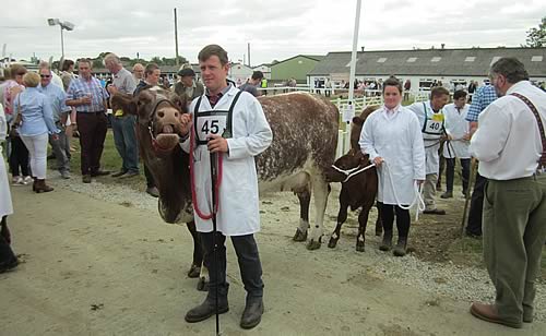 Great Yorkshire Show