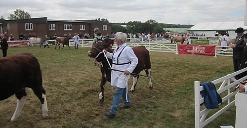 Great Yorkshire Show