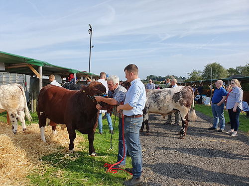 Dumfries Show