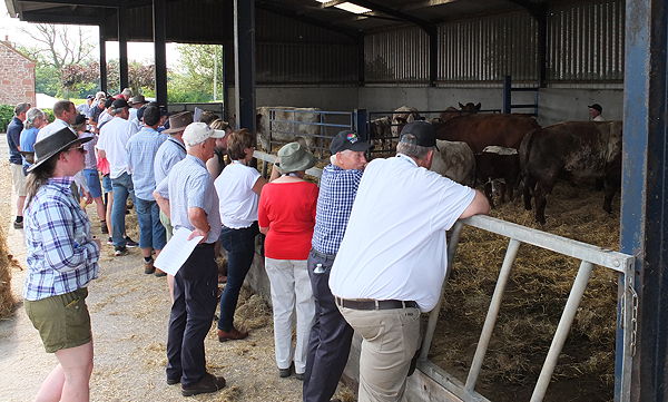 World Shorthorn Conference tour